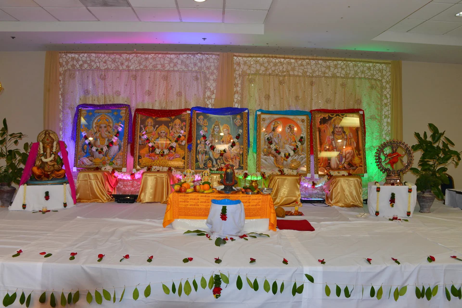 Gallery image 23